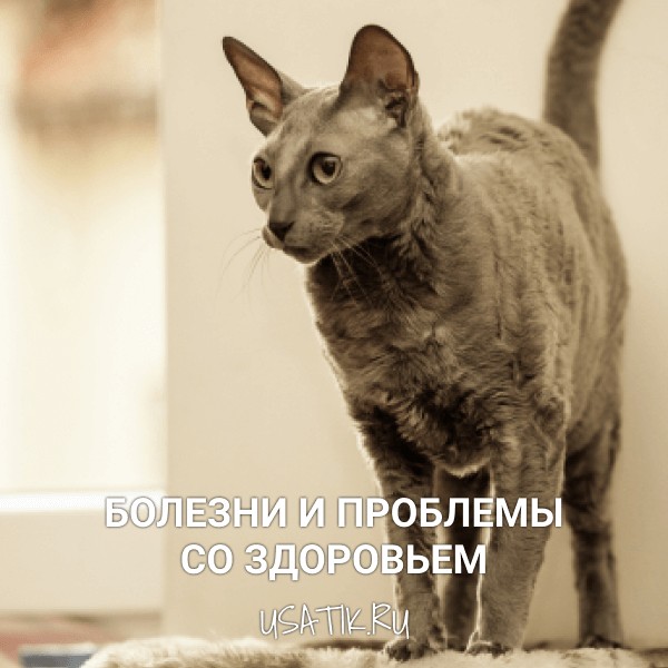 Болезни и проблемы со здоровьем