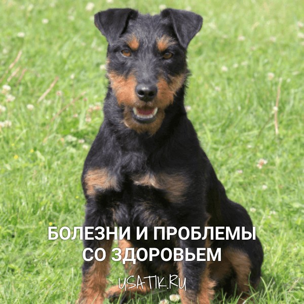 Болезни и проблемы со здоровьем