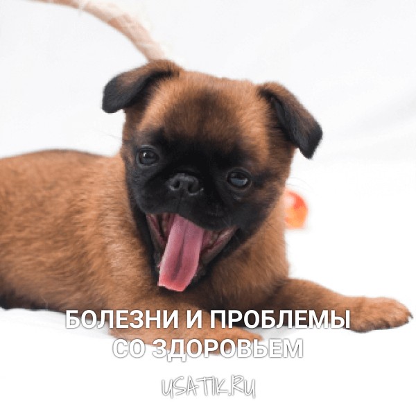 Болезни и проблемы со здоровьем