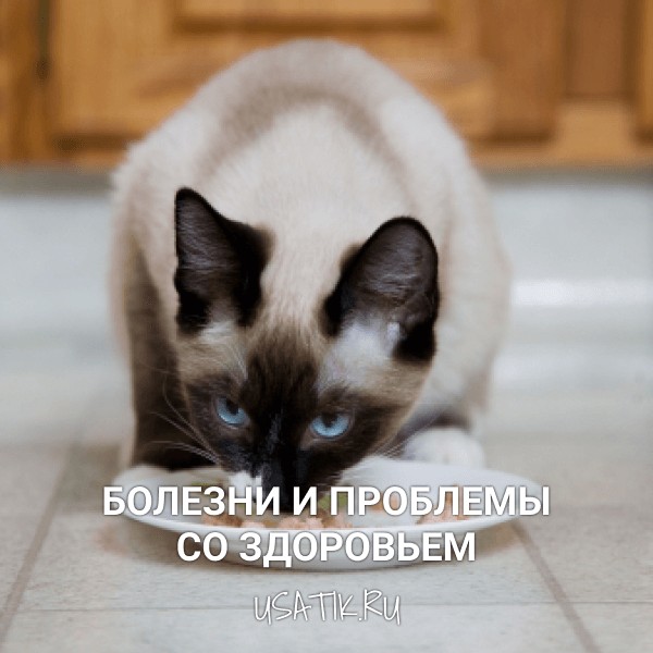 Болезни и проблемы со здоровьем