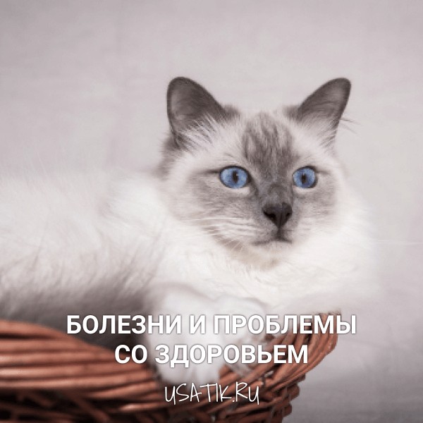 Болезни и проблемы со здоровьем