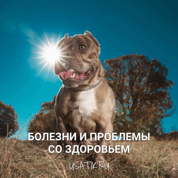 Болезни и проблемы со здоровьем