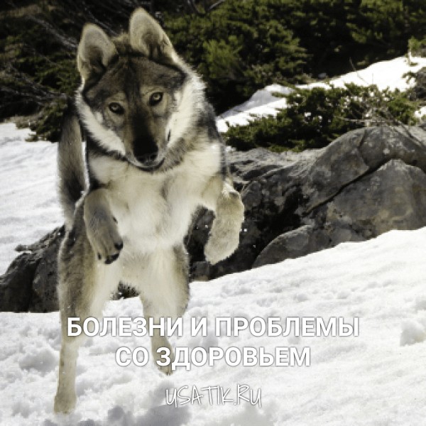 Болезни и проблемы со здоровьем