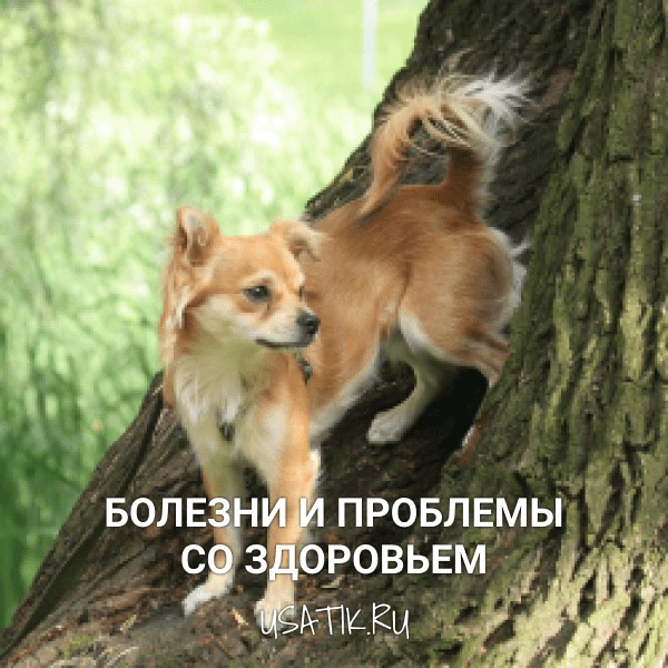 Болезни и проблемы со здоровьем