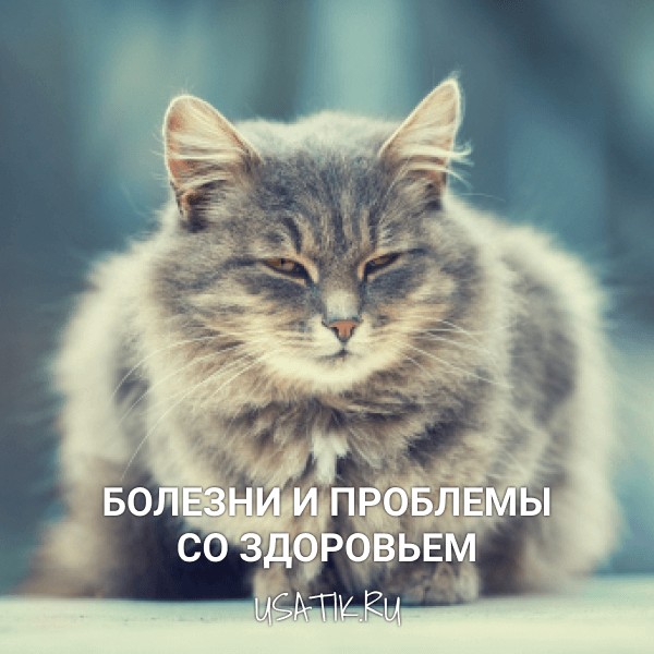 Болезни и проблемы со здоровьем