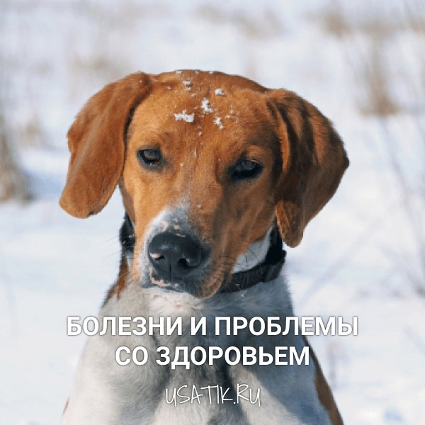 Болезни и проблемы со здоровьем