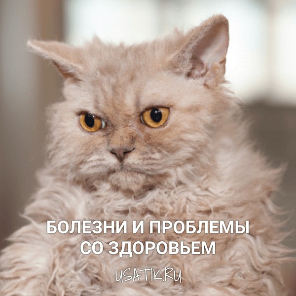 Болезни и проблемы со здоровьем