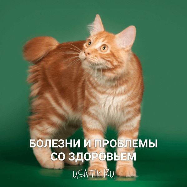 Болезни и проблемы со здоровьем