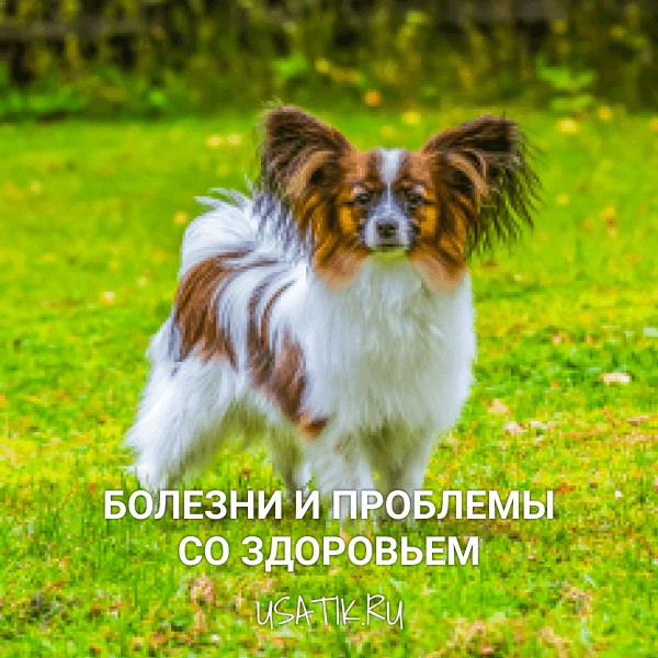 Болезни и проблемы со здоровьем