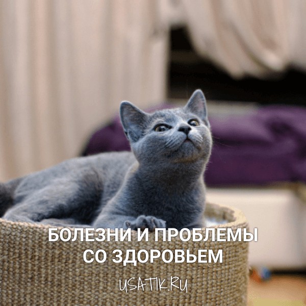 Болезни и проблемы со здоровьем