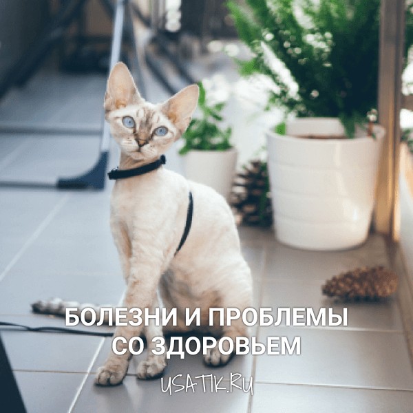 Болезни и проблемы со здоровьем