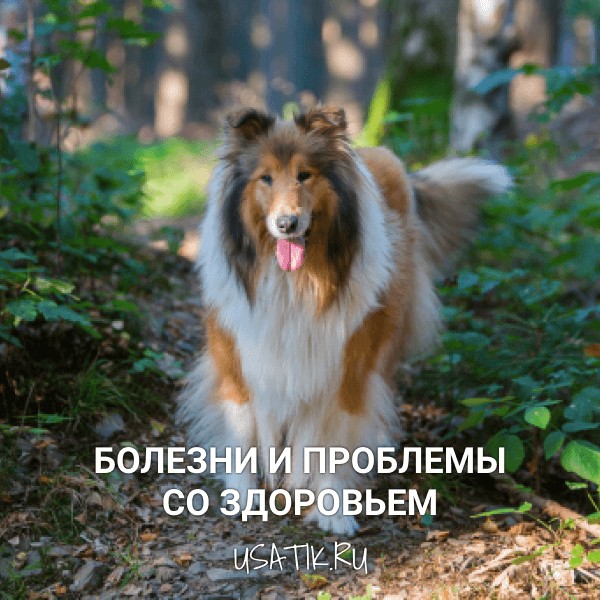 Болезни и проблемы со здоровьем