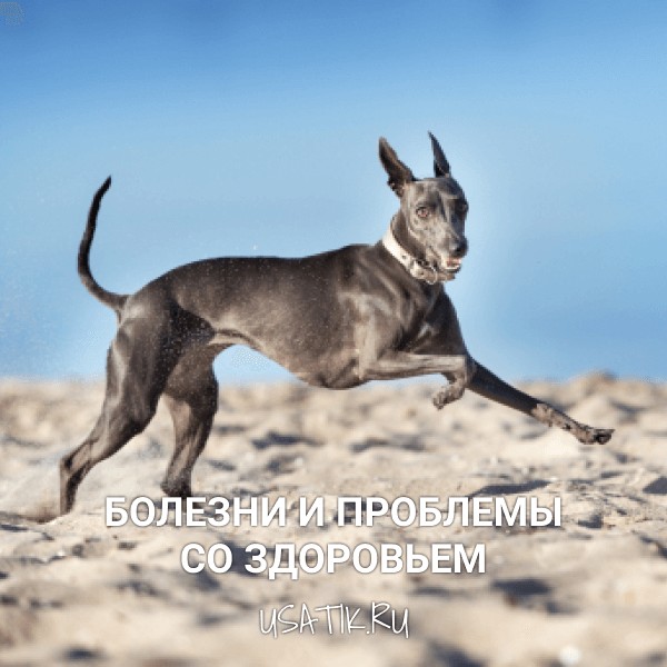 Болезни и проблемы со здоровьем