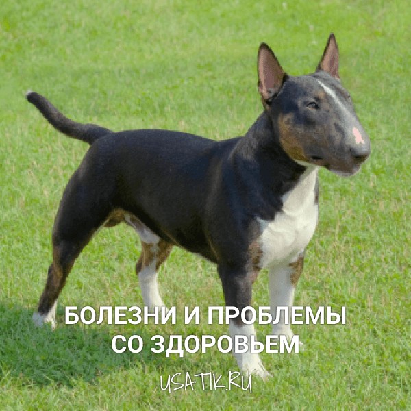 Болезни и проблемы со здоровьем