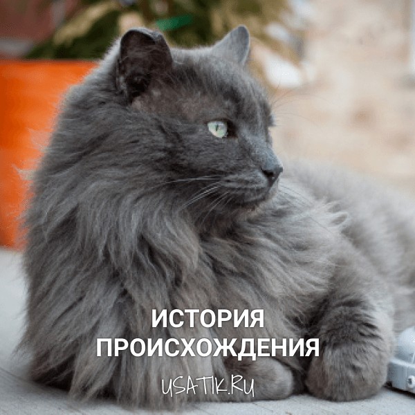 История происхождения нибелунгов