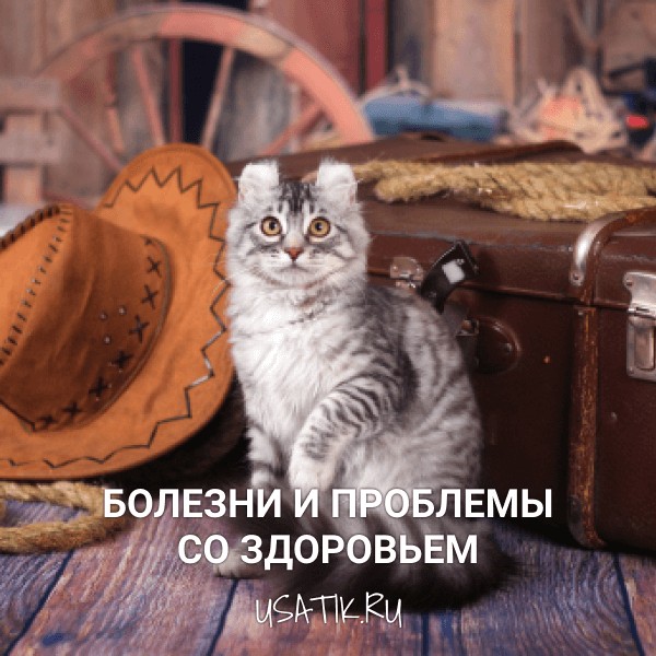 Болезни и проблемы со здоровьем