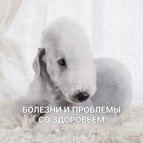 Болезни и проблемы со здоровьем