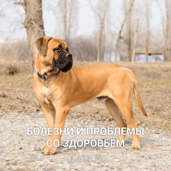 Болезни и проблемы со здоровьем