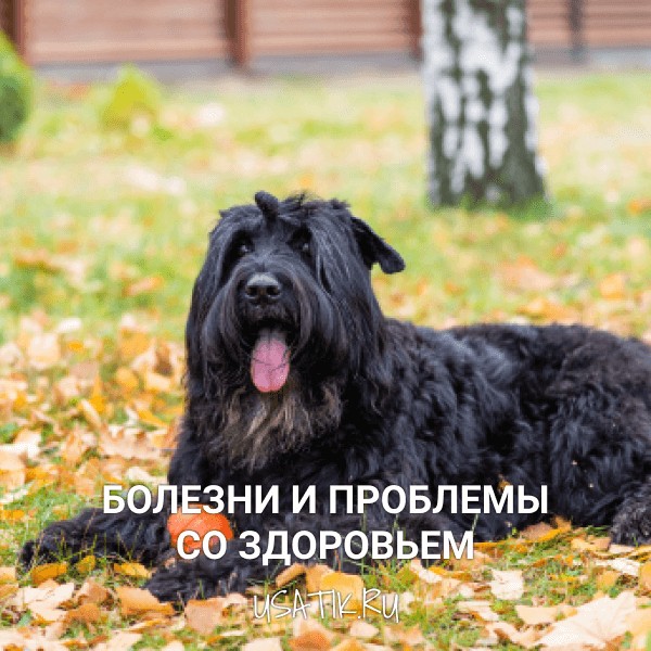 Болезни и проблемы со здоровьем