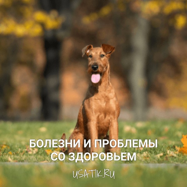 Болезни и проблемы со здоровьем