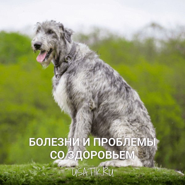 Болезни и проблемы со здоровьем