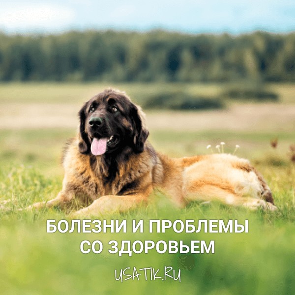 Болезни и проблемы со здоровьем