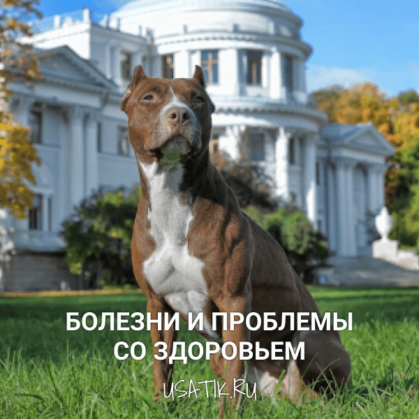 Болезни и проблемы со здоровьем