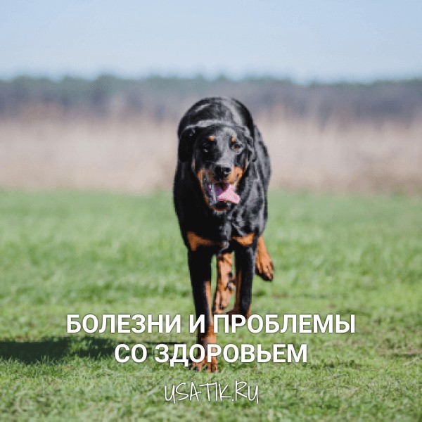 Болезни и проблемы со здоровьем