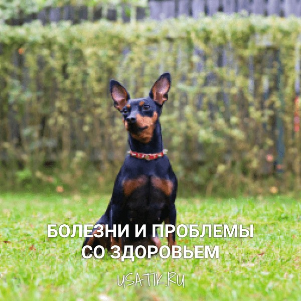 Болезни и проблемы со здоровьем