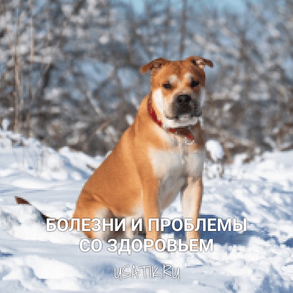 Болезни и проблемы со здоровьем