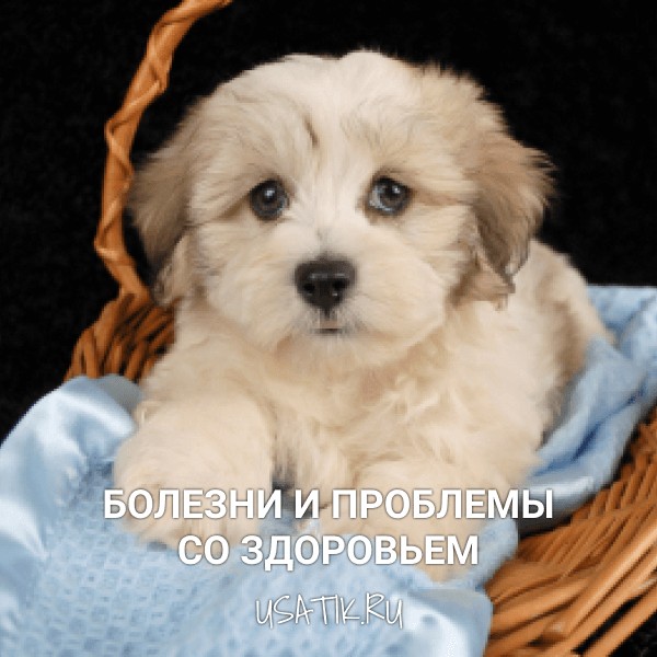 Болезни и проблемы со здоровьем