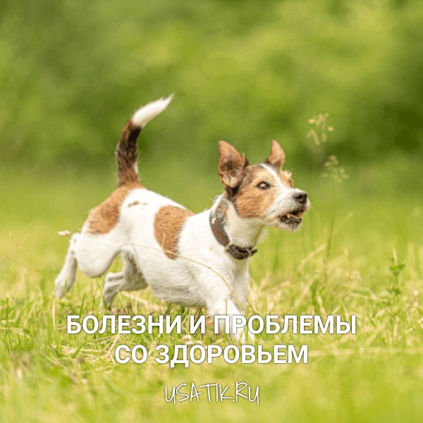 Болезни и проблемы со здоровьем