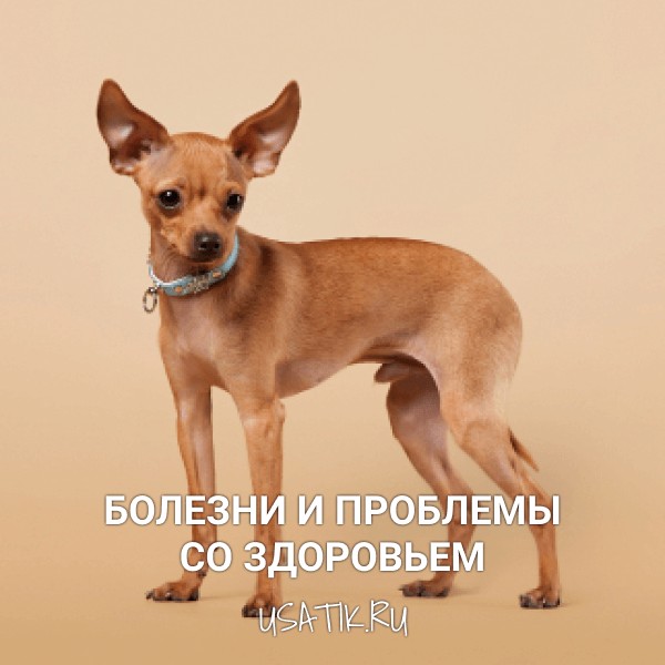 Болезни и проблемы со здоровьем