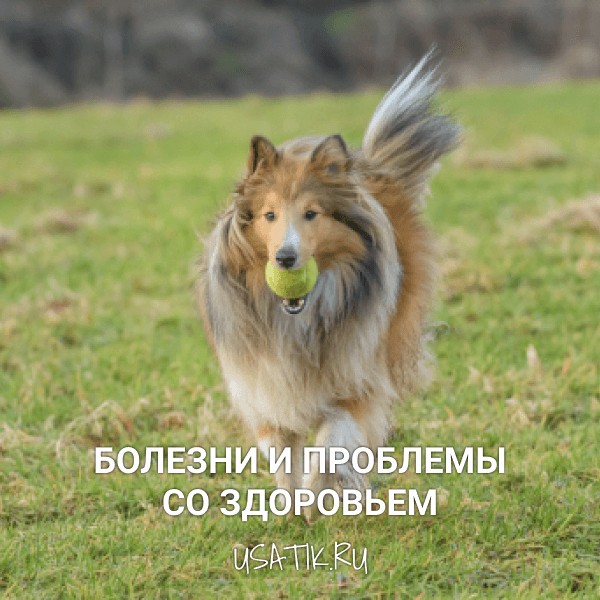 Болезни и проблемы со здоровьем