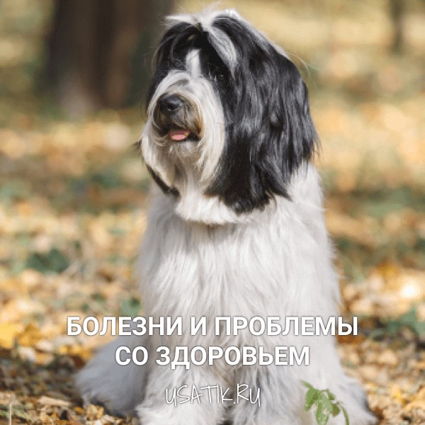 Болезни и проблемы со здоровьем