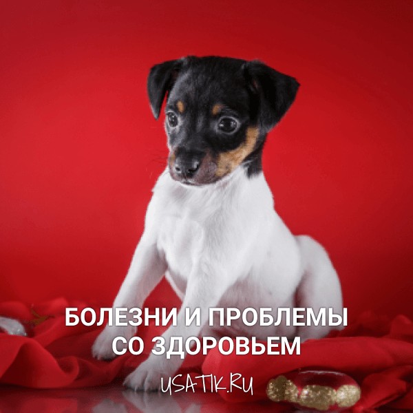 Болезни и проблемы со здоровьем