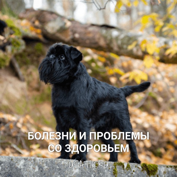 Болезни и проблемы со здоровьем