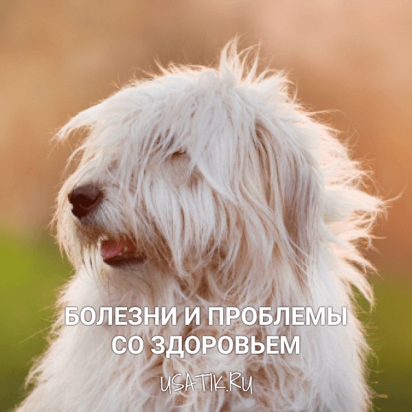 Болезни и проблемы со здоровьем