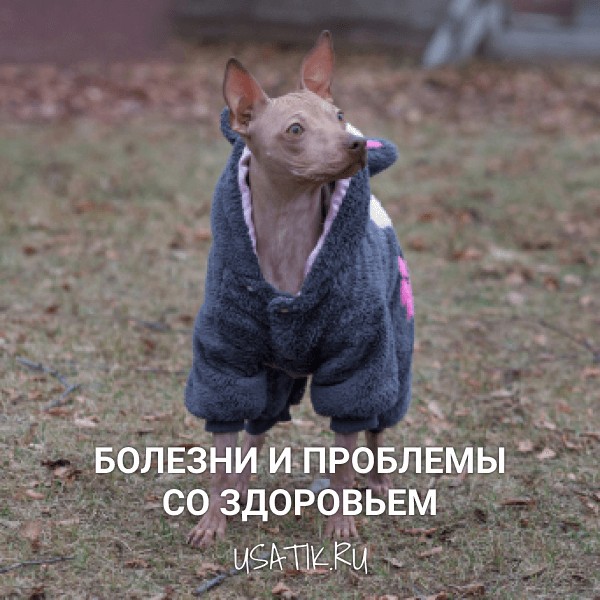 Болезни и проблемы со здоровьем