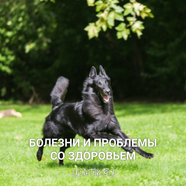 Болезни и проблемы со здоровьем