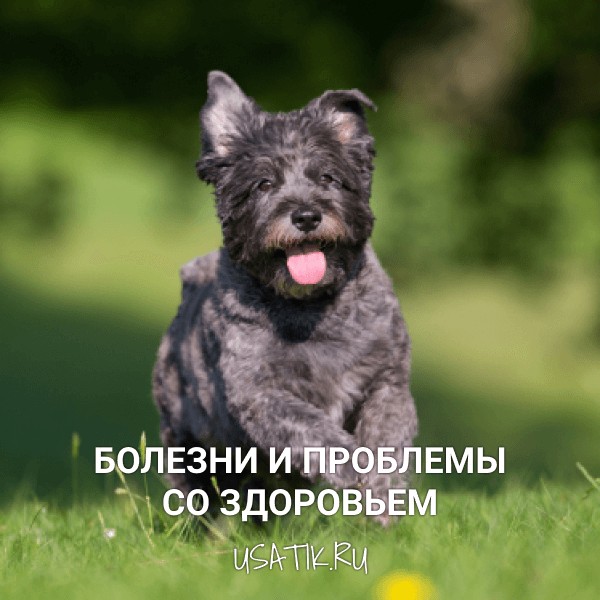 Болезни и проблемы со здоровьем